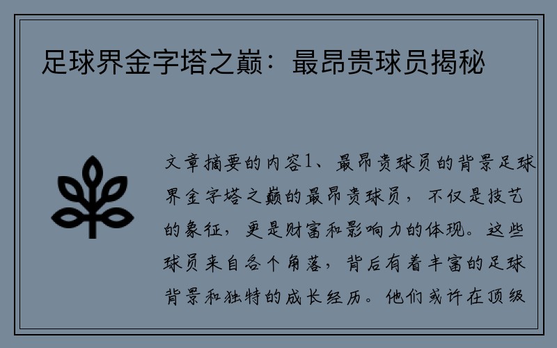 足球界金字塔之巅：最昂贵球员揭秘